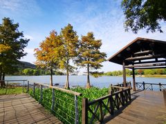 -长广溪湿地公园