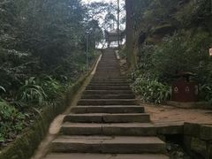 -缙云山景区