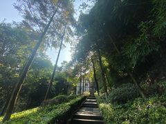 -重庆彩云湖湿地公园