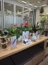 -dōTERRA多特瑞精油生活馆