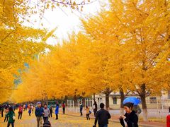 -辽宁大学(崇山校区)