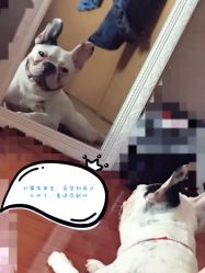 -青禾造型&刺青