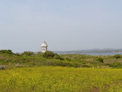 -涉地可支