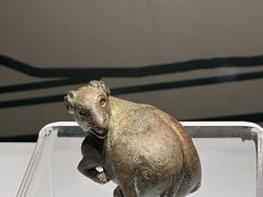 -宁夏博物馆