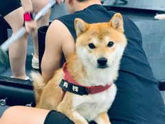 -YCHL Studios健身工作室(市二宫店)