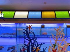 -麒麟中餐厅·经典粤菜·地道菜式老字号(广州长隆酒店)