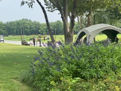 -汉长安城未央宫国家考古遗址公园