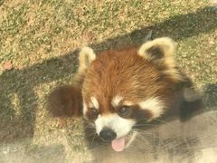 -泉州海丝野生动物世界