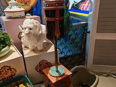 -额尔敦·品质自助(摩尔城店)