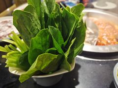 -井格重庆火锅(西直门凯德Mall店)