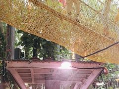 -正佳雨林生态植物园