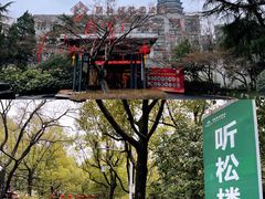 -听松楼·花园酒店·自助餐厅(红梅公园店)