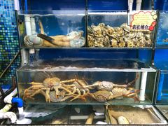 -蚝专家(北滘店)
