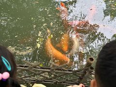 -乌村