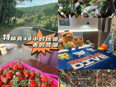 -美的鹭湖森林度假区