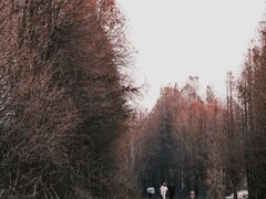 -乌镇景区