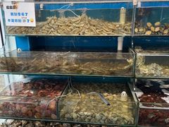 -仙螺岛海鲜自助餐厅(总店)