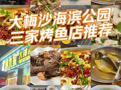 -大梅沙海滨公园