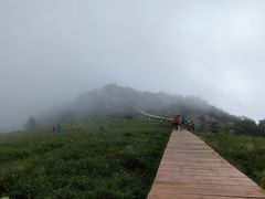 -白草畔自然风景区