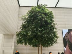 -Apple零售店(济南恒隆广场店)