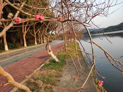 -水濂山水库景点停车场