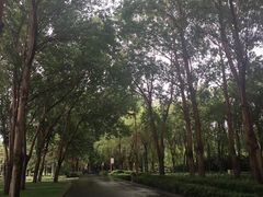 -长春公园(普阳街道)