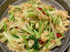 -肥猫(义乌万达店)