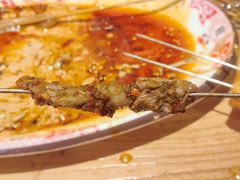 -福苗小骆驼烧烤(莲湖路店)