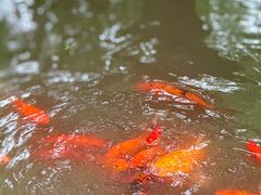 -天目湖涵田半山温泉