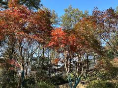 -岳麓山风景名胜区