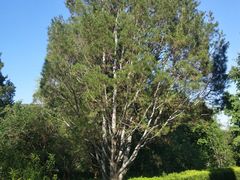 -国家植物园南园