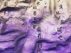 包房-黑门烤肉