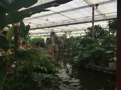 -汤山翠谷生态餐厅