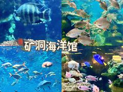 -长鹿旅游休博园