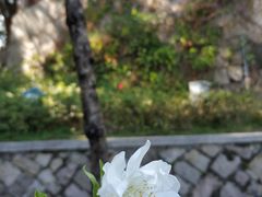 -乌山风景区