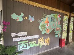-西双版纳原始森林公园