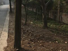 -森居forest休闲咖啡聚集地