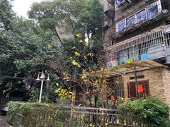 -四川大学(望江校区)