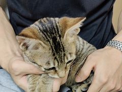 -宠颐生宠物医院外科·内科·皮肤科·影像科(石龙店)