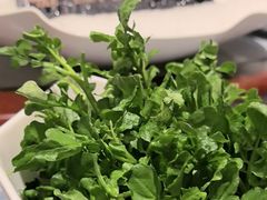 -尚海豆捞(乐虹坊店)