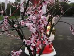 -上海海湾国家森林公园