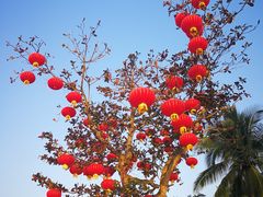 -万绿园