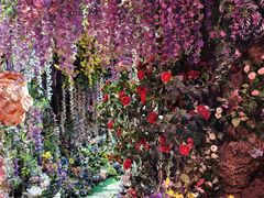 -正佳雨林生态植物园