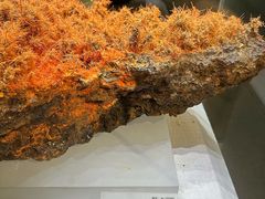 -湖南省地质博物馆