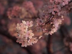 -永乐路-路侧停车场