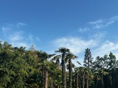 -河南省黄河迎宾馆