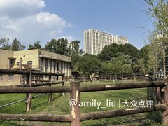 -成都动物园
