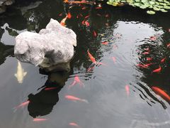 -苏州冶园园林民宿(太湖西山风景区店)
