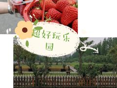 -前小桔亲子创意农场·草莓采摘·露营烧烤
