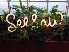 -Seesaw Coffee(朝阳大悦城店)